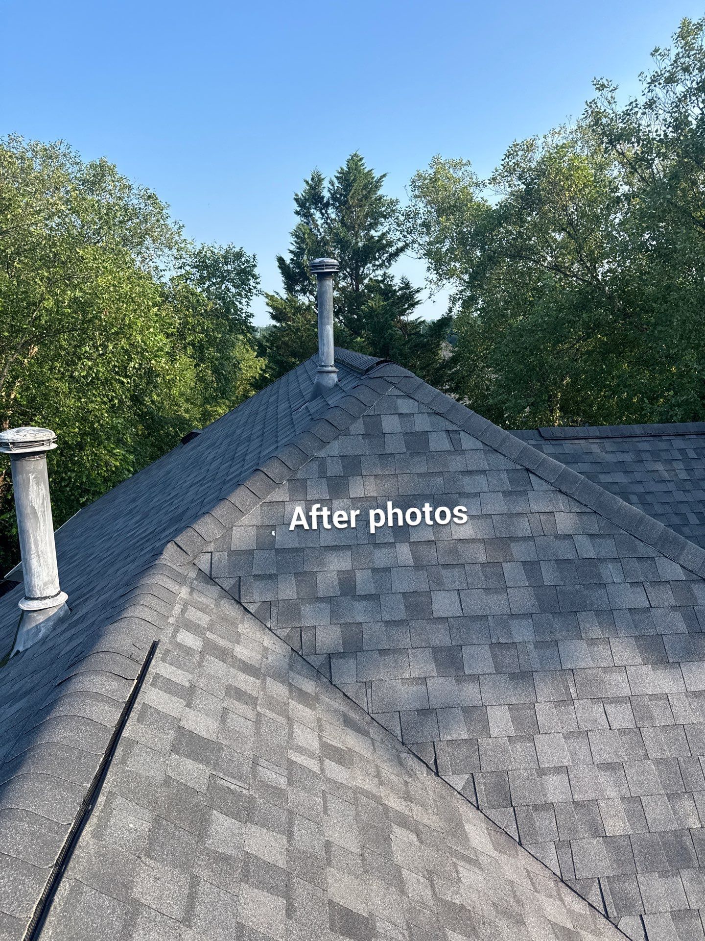 New Shingle Roof & New Gutters and downspouts with covers by Alpha Design Services