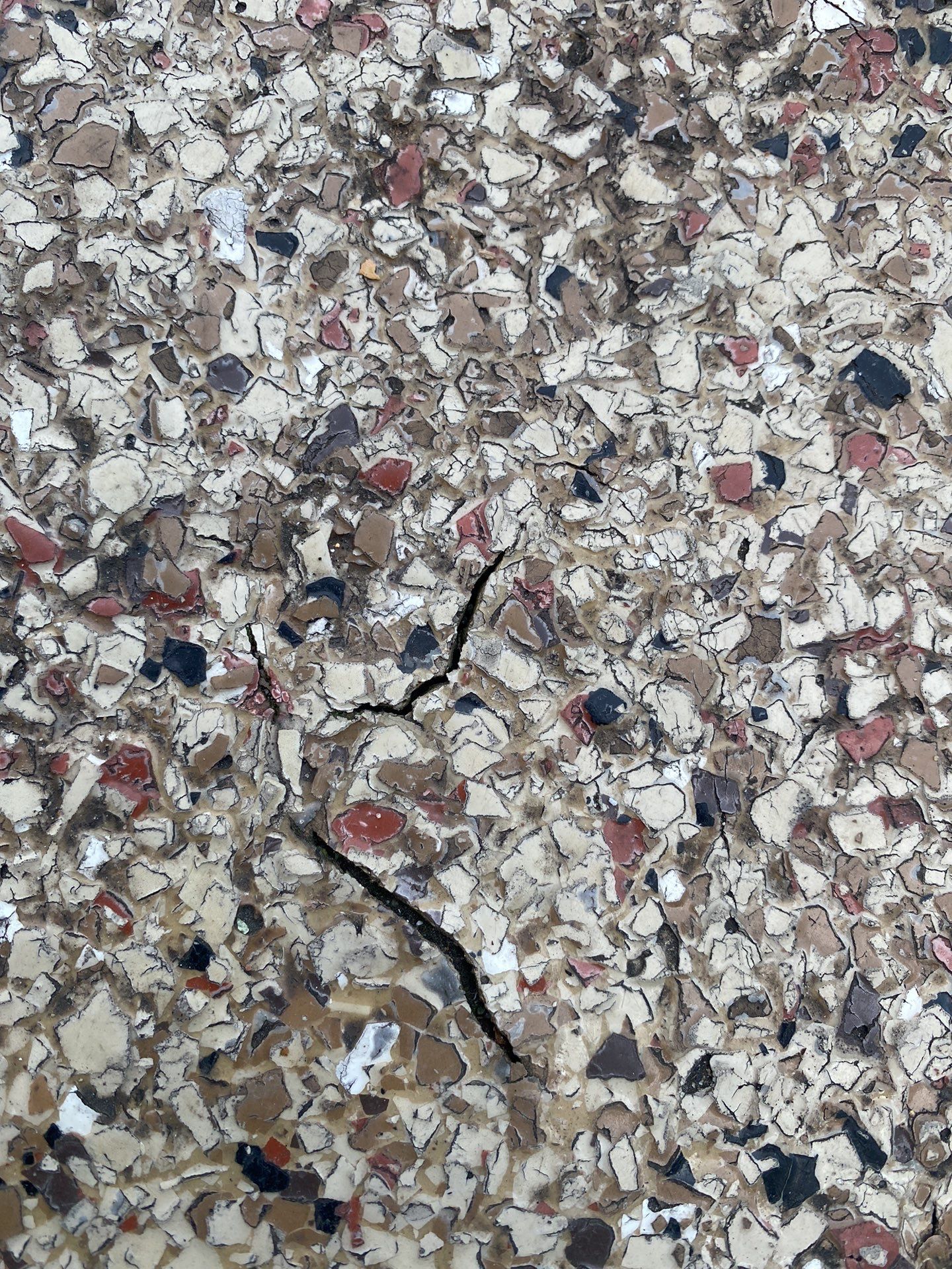 Hamm Driveway TransFLOORmation by Symphony Concrete Coatings