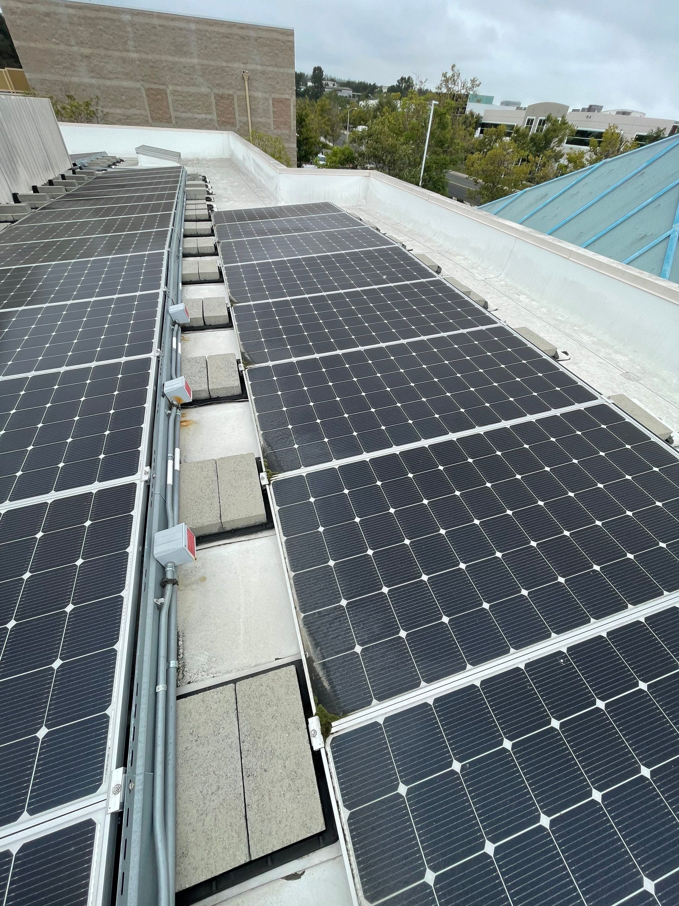Commercial Solar Cleaning by Palm Coast Solar Cleaning