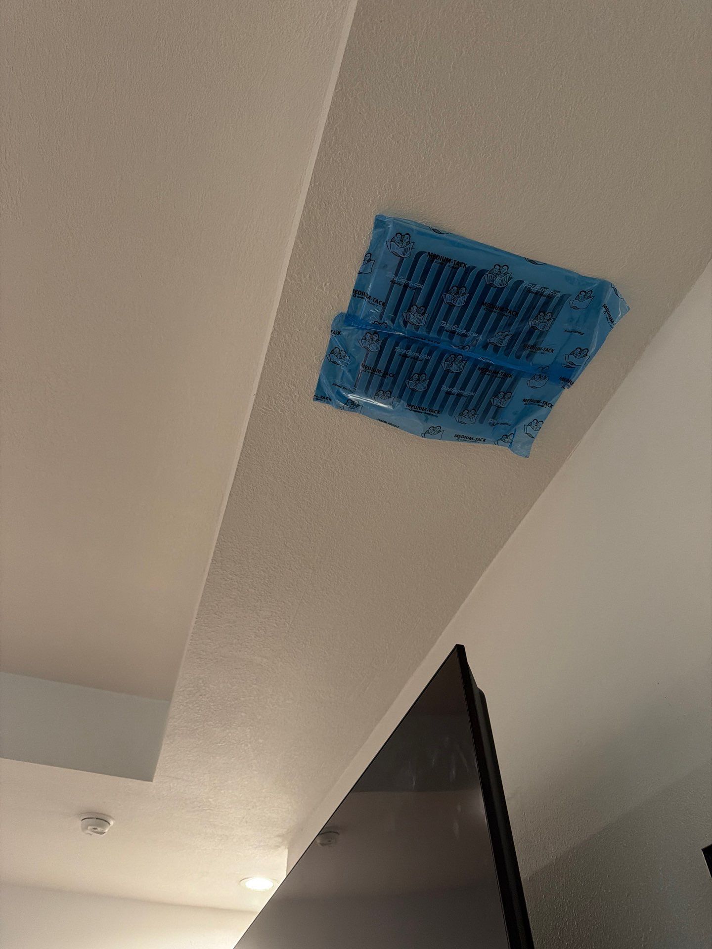 Air Duct Cleaning in Clermont by Hygienic Air, Inc
