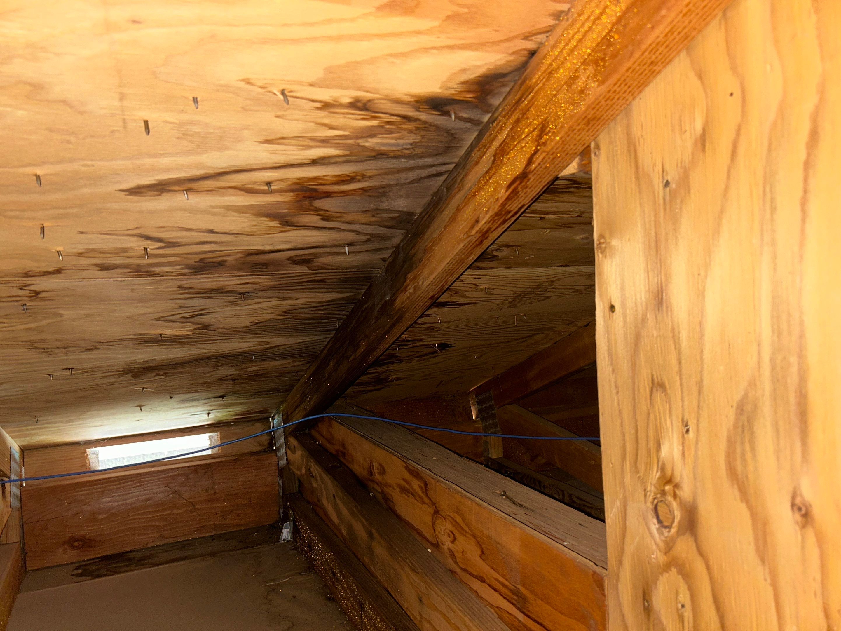 Roof Repair in Scappoose by Prodigy Roof Solutions