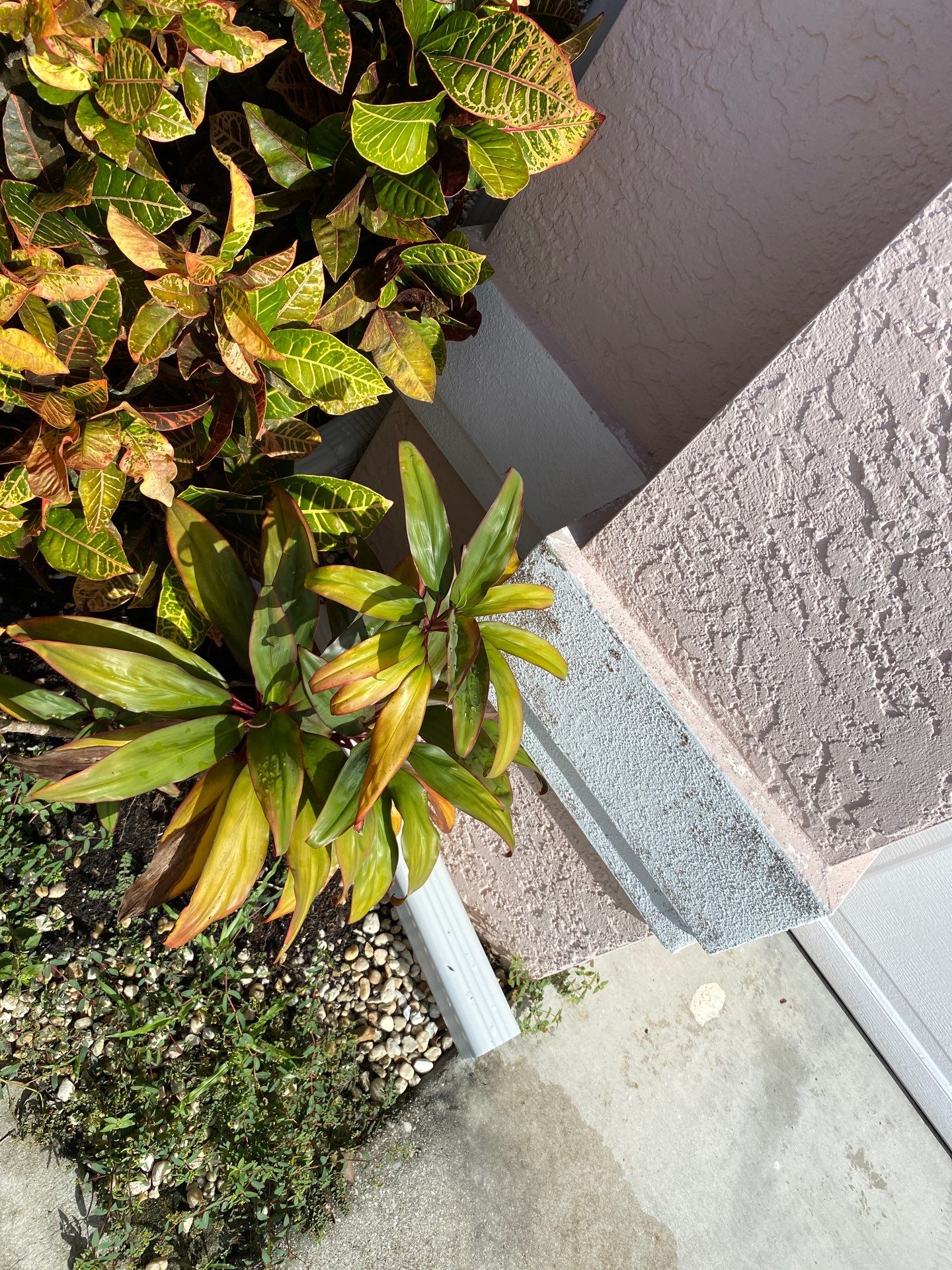 6-Inch Seamless Gutters for Superior Drainage in Fort Myers FL by Gutter Professors
