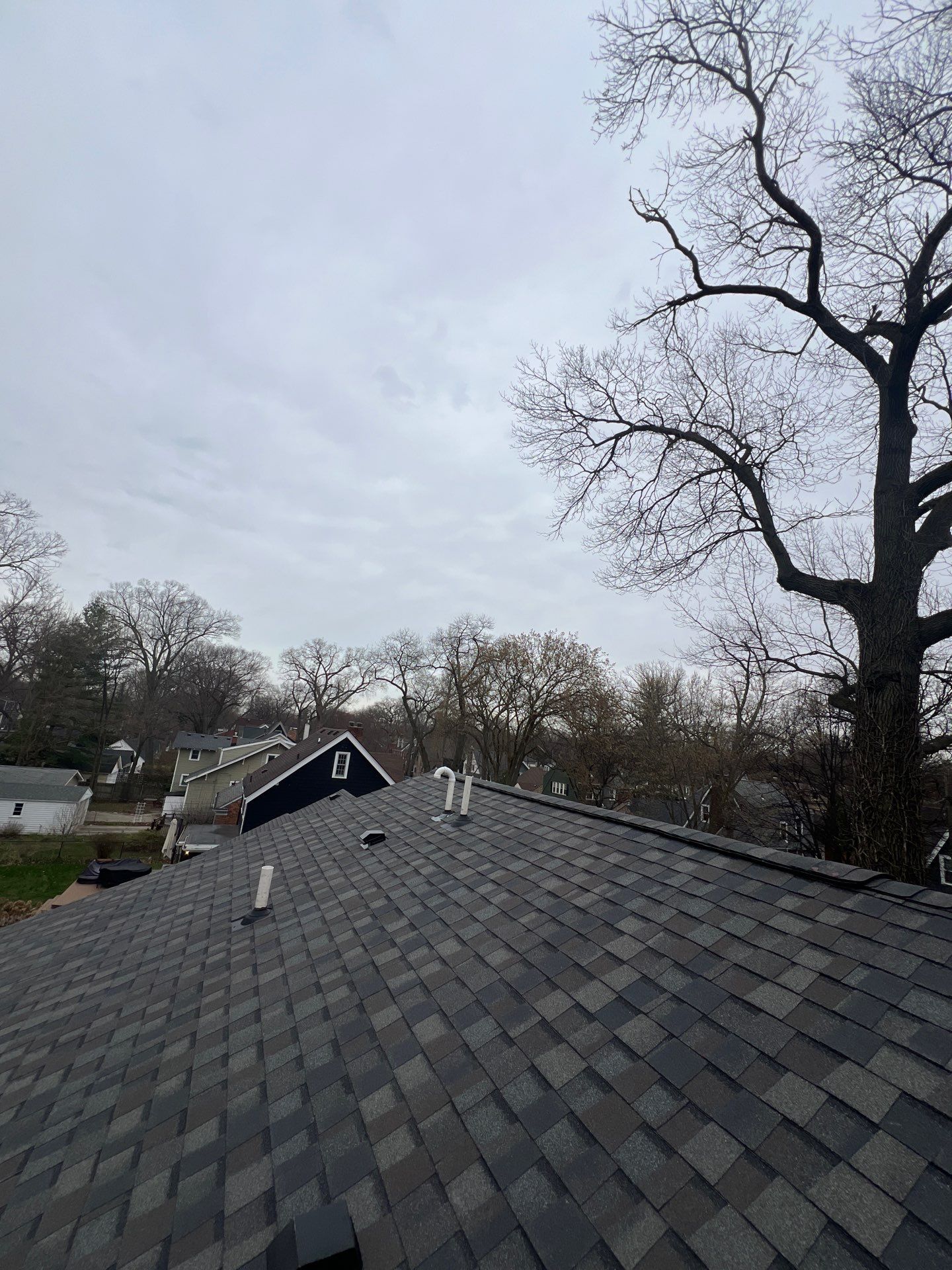 Project in Pleasant Ridge by Eave Roofing