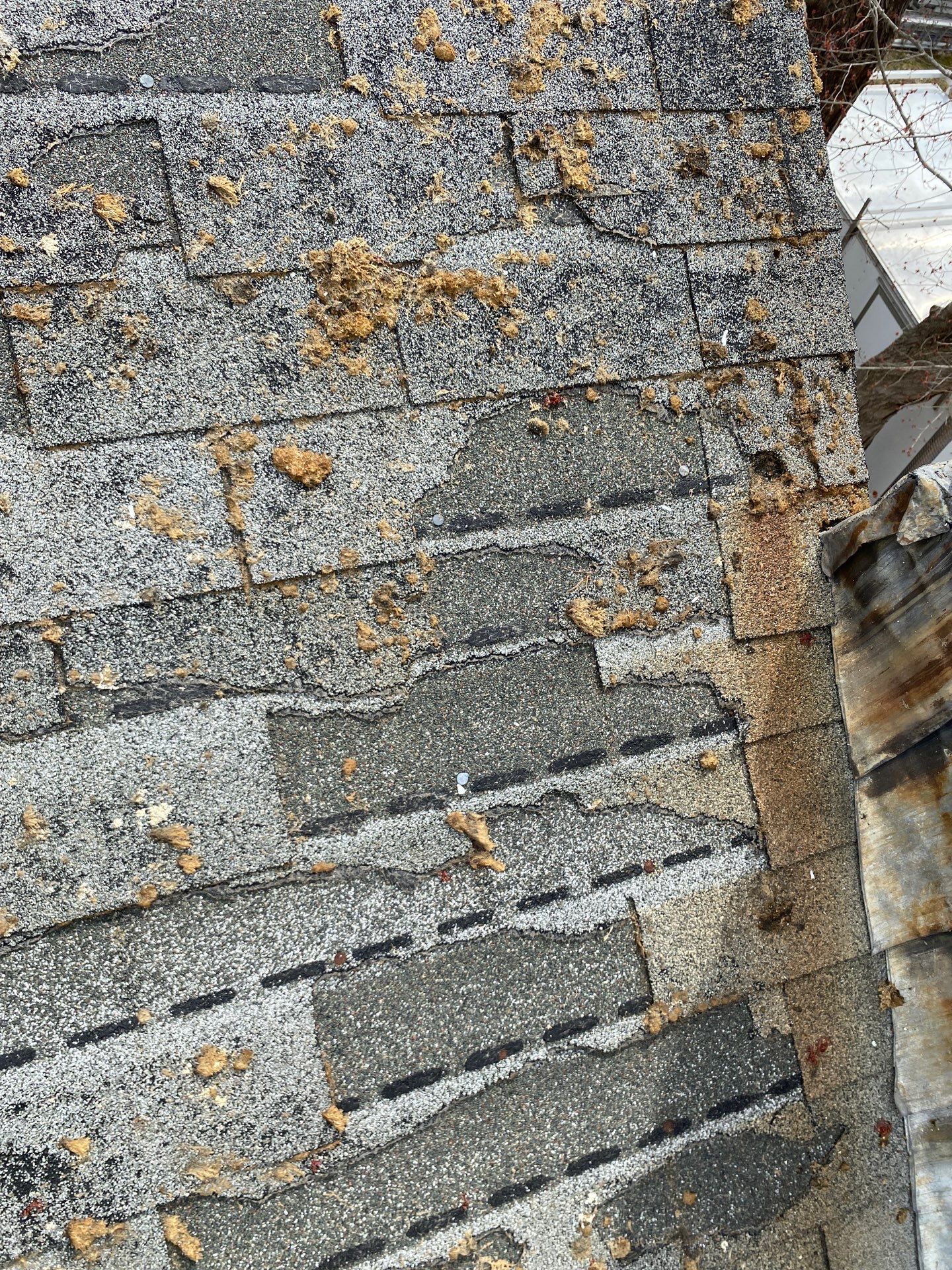 Roofing | Maynard by Mighty Dog Roofing of Greater Middlesex County