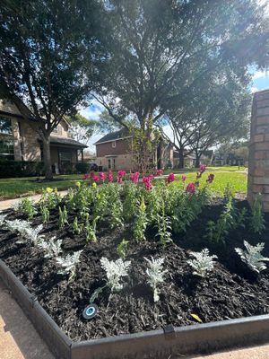 🌿 Torey’s Front Yard Transformation