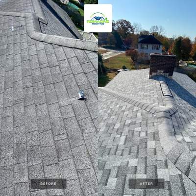 Silver Birch Shingles