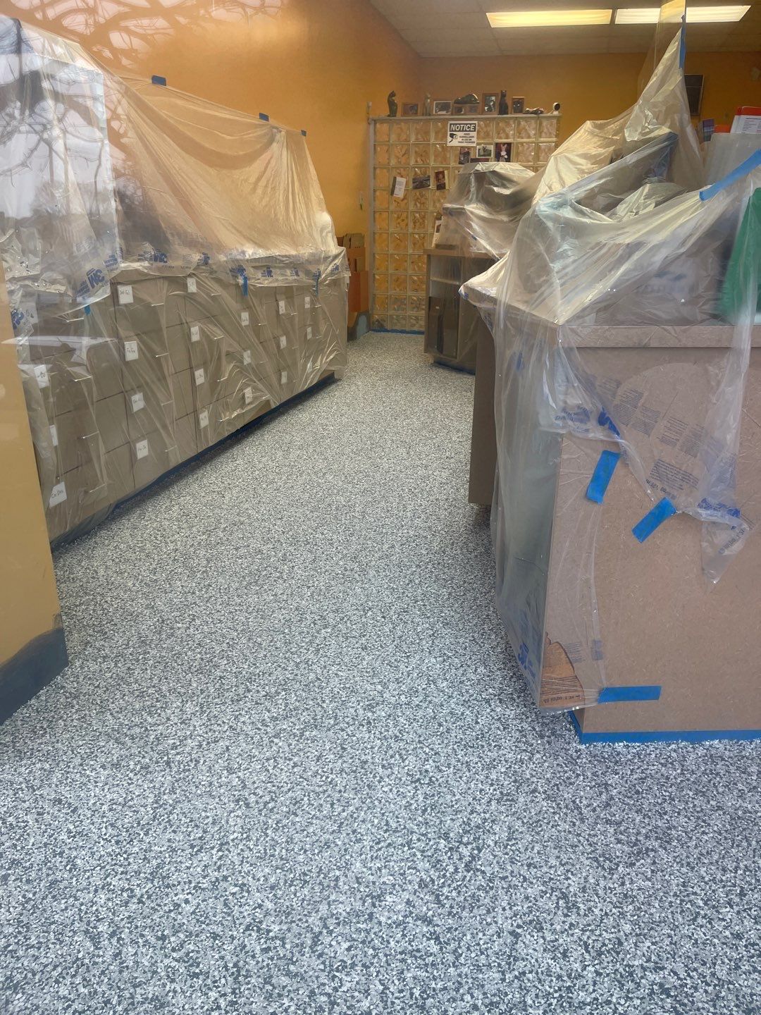 Cat Hospital Project in Pittsburgh by Floors in a Day, Inc