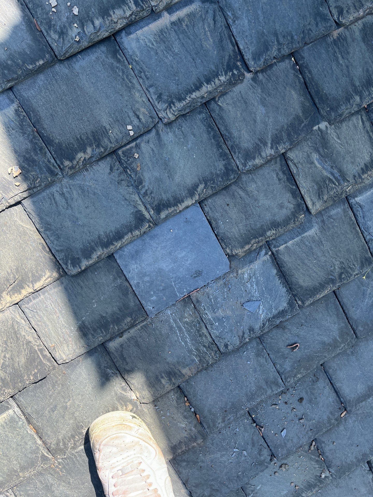 Arlington: Buckingham Slate and Carlisle Syntec TPO Roof by RM Banning, Inc.