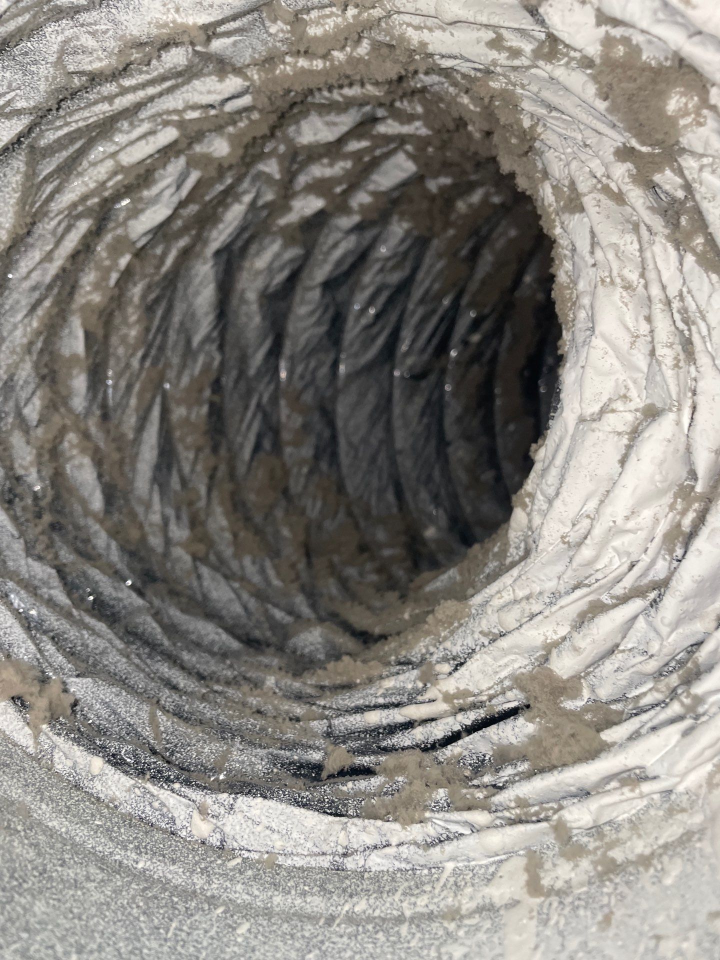 Air Duct Cleaning in Bartow by Hygienic Air, Inc
