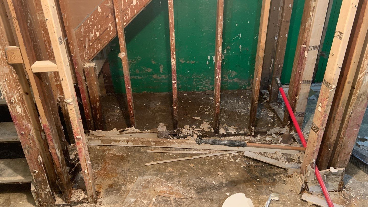 Grossly Contaminated Basement Mold by Chicagoland Water Medics