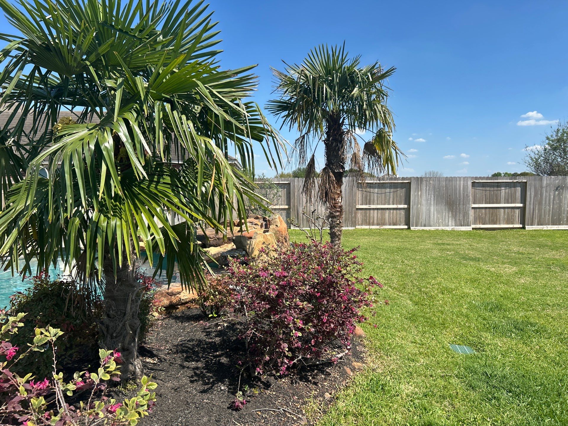 🌿 Larry Caudillo’s Poolside Landscape Revamp by Texas Urban Elements