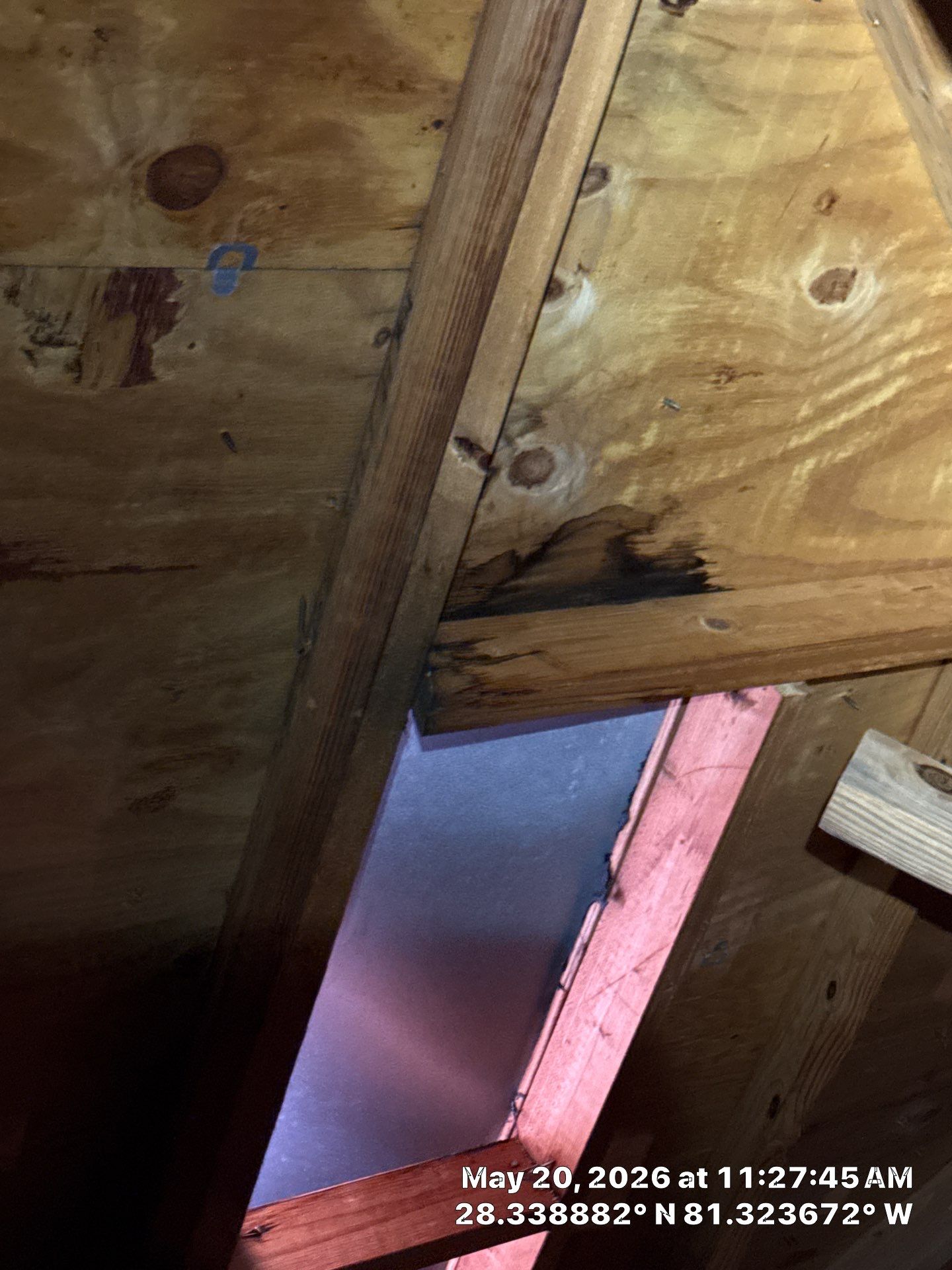 Project in Kissimmee, FL by New Horizons Roofing Inc