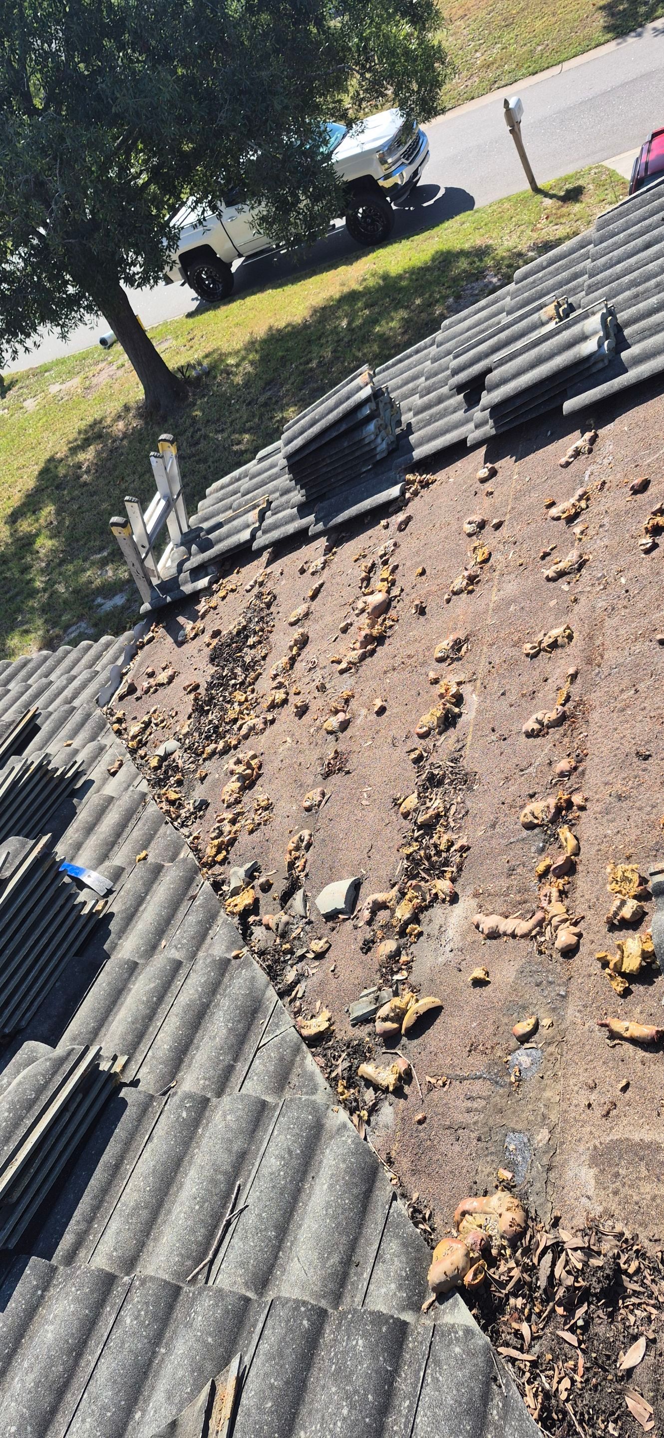 Project in Seminole 33772 by Mitchell Roofing Company LLC