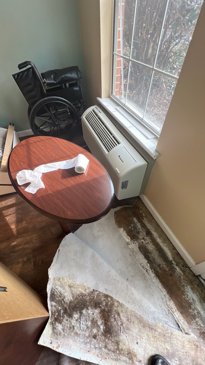 The Gardens of Rome by PC&D