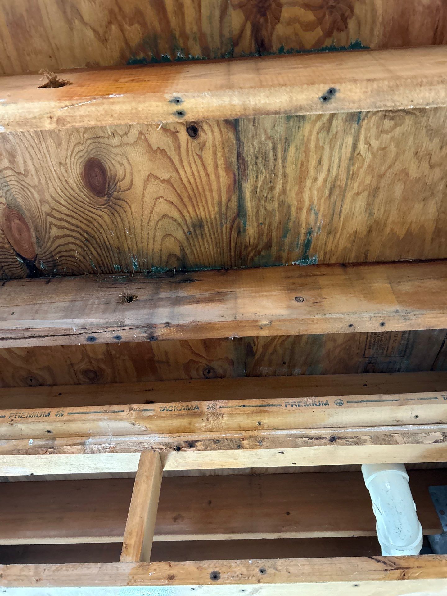 Cape Coral Water Damage Restoration by Ampm Restoration Services