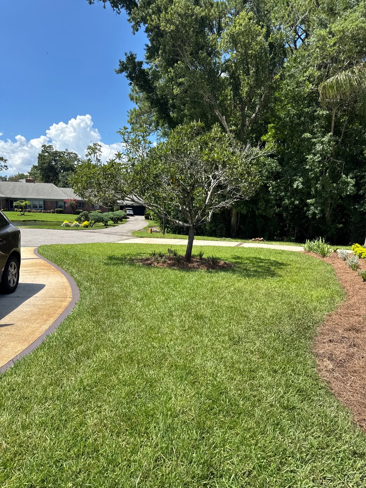 Deerwood Resident | Bed Design & Upgrade by ProGreen Services