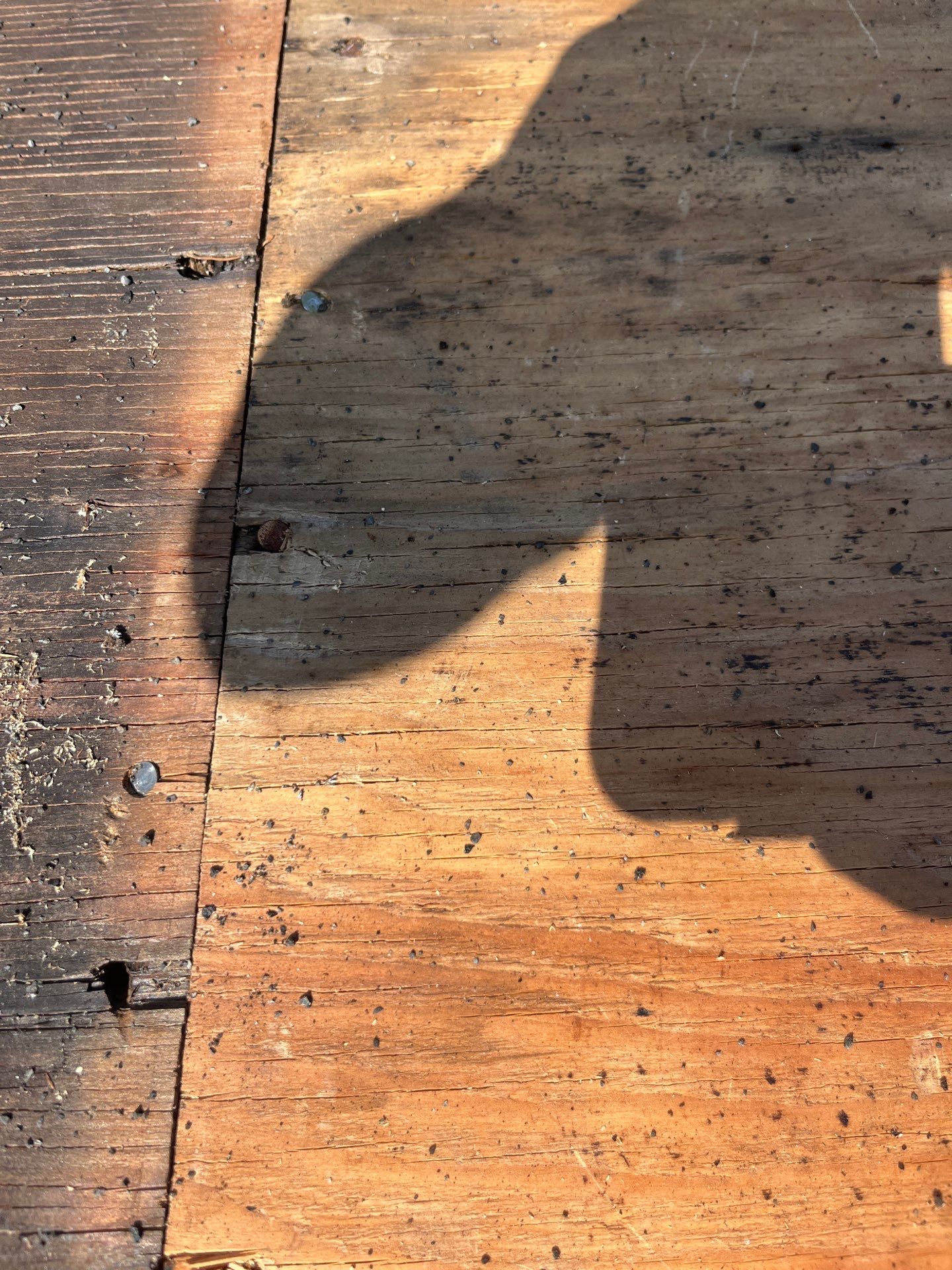 Project in Portland by Tom Leach Roofing