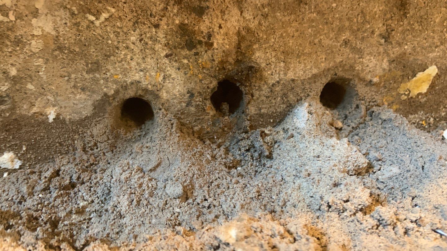Fixing a Persistent Leak for Dustin in New Brighton by Waterproofing Northeast