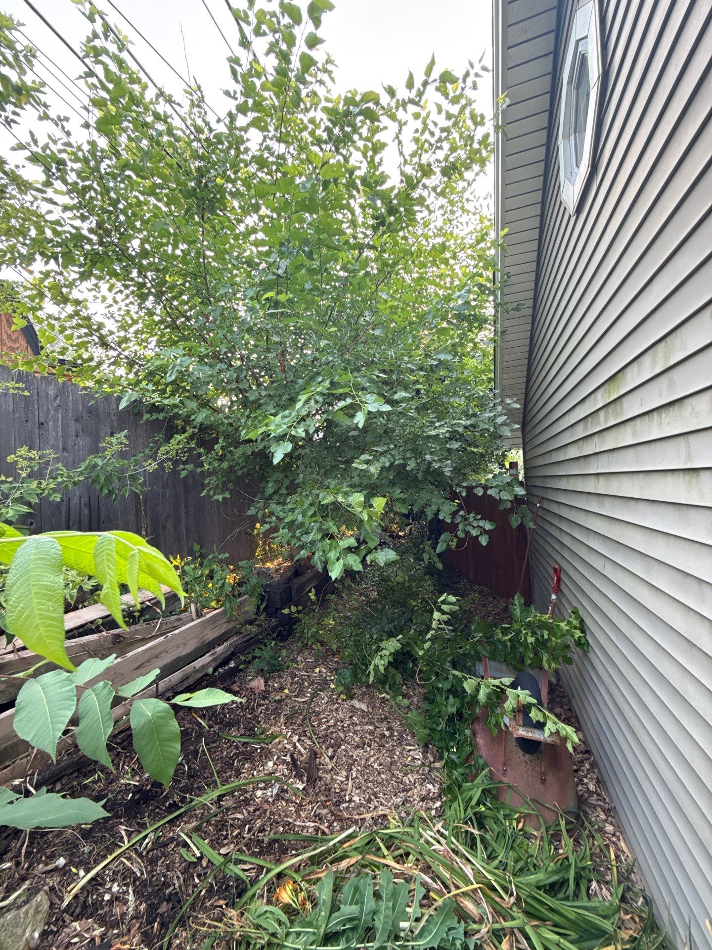 Linsey S. - Rolling Meadows, IL by A&N