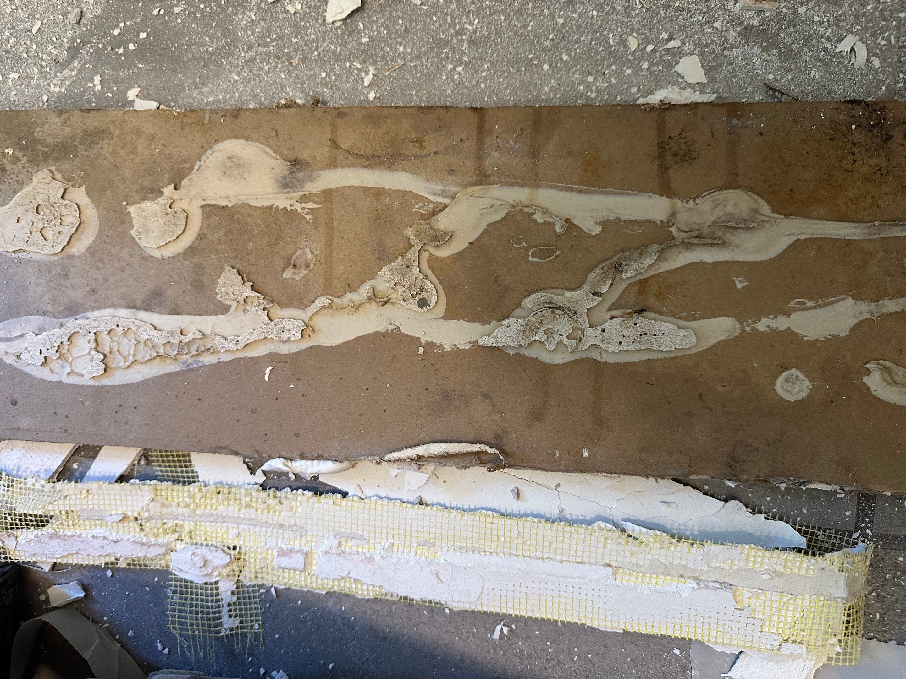 Water Damage in Denver, CO by Alpha Restoration 