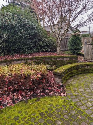 Landscaping Using Shrubs