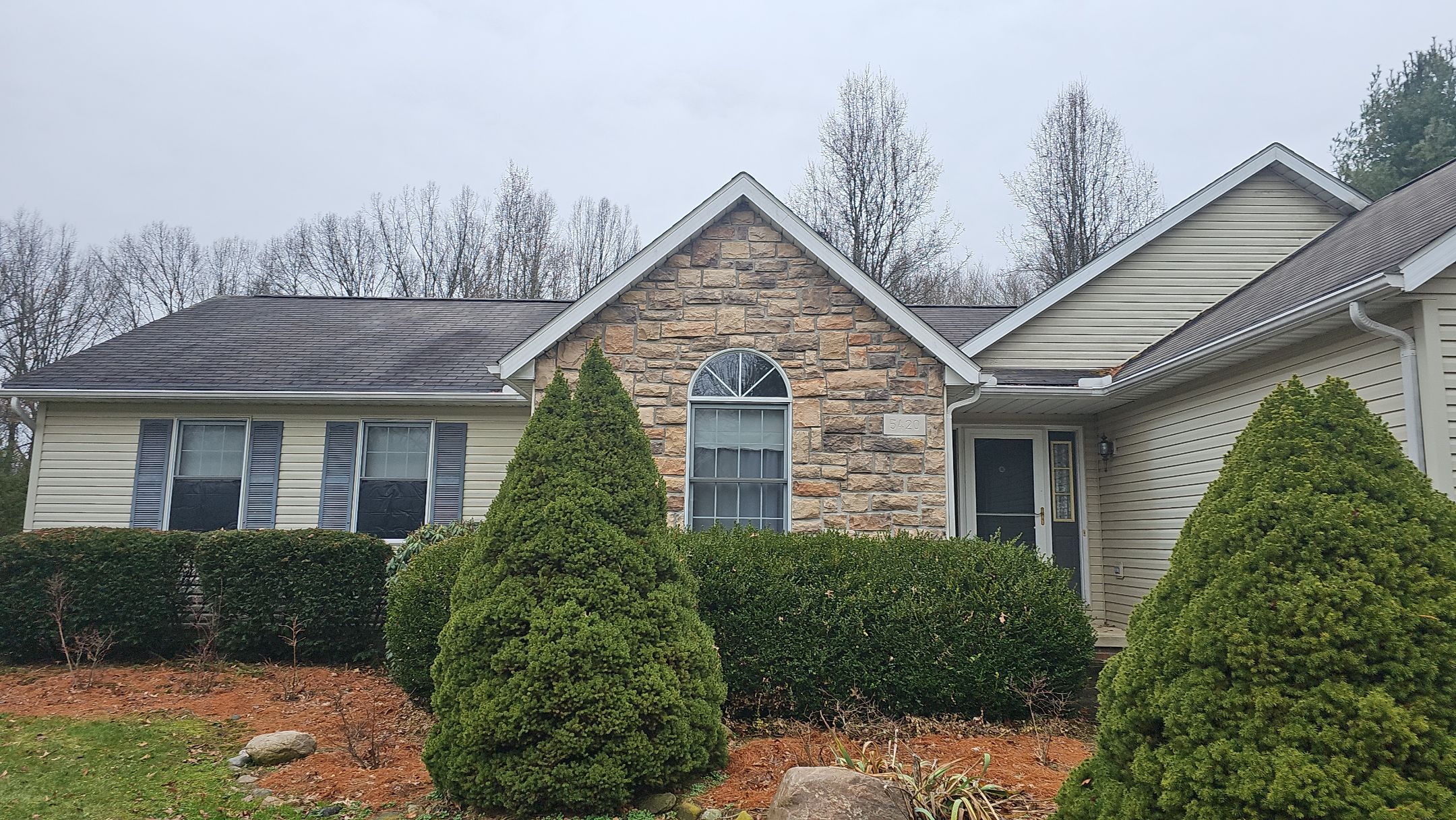 Alpha Rib, Color: Forest Green by Eagle Eye Roofing
