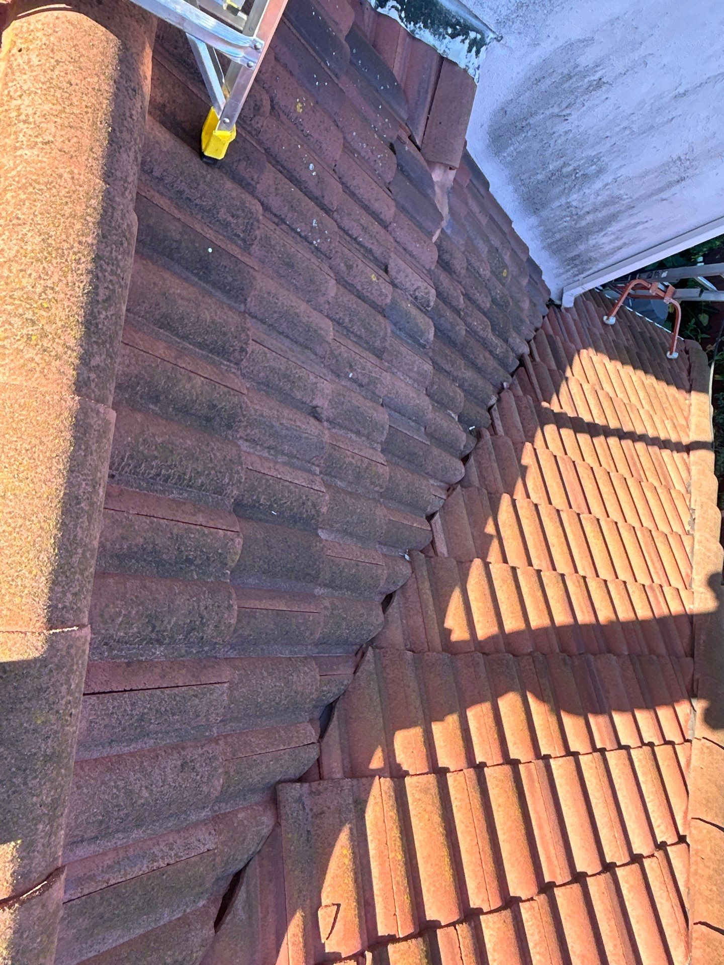 Roof Cleaning-Insurance Renewal by All One Solar Shine