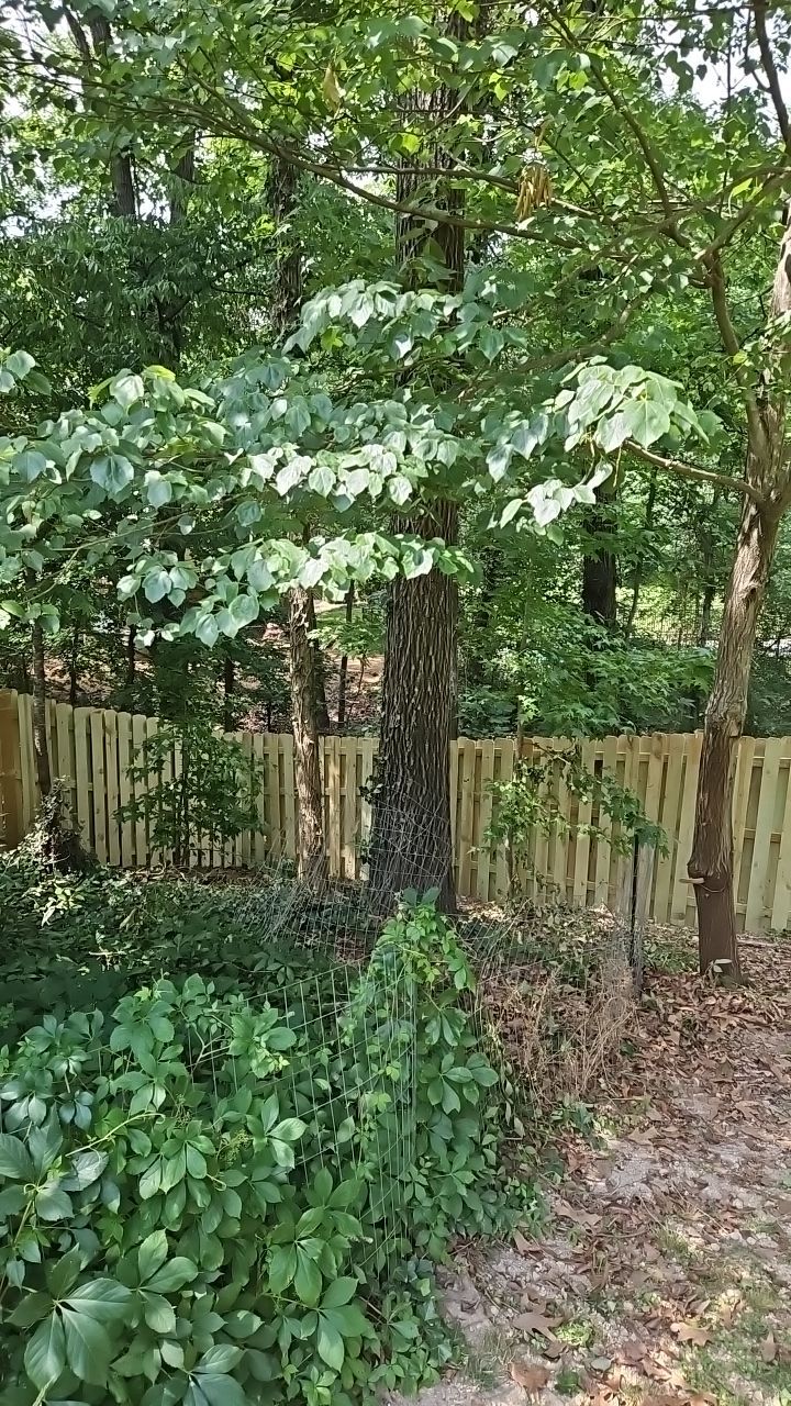 Meadowbrook - Composite Deck and Fence Installation by Pillar and Pine