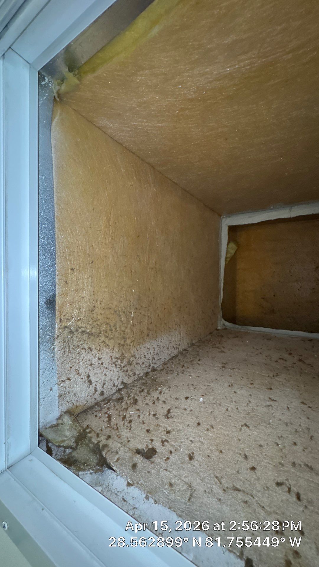 Air Duct Cleaning in Clermont by Hygienic Air, Inc