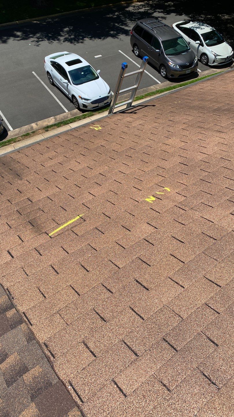 Springfield: CertainTeed Landmark Pro Designer Shingles in Max Def Pewterwood by RM Banning, Inc.