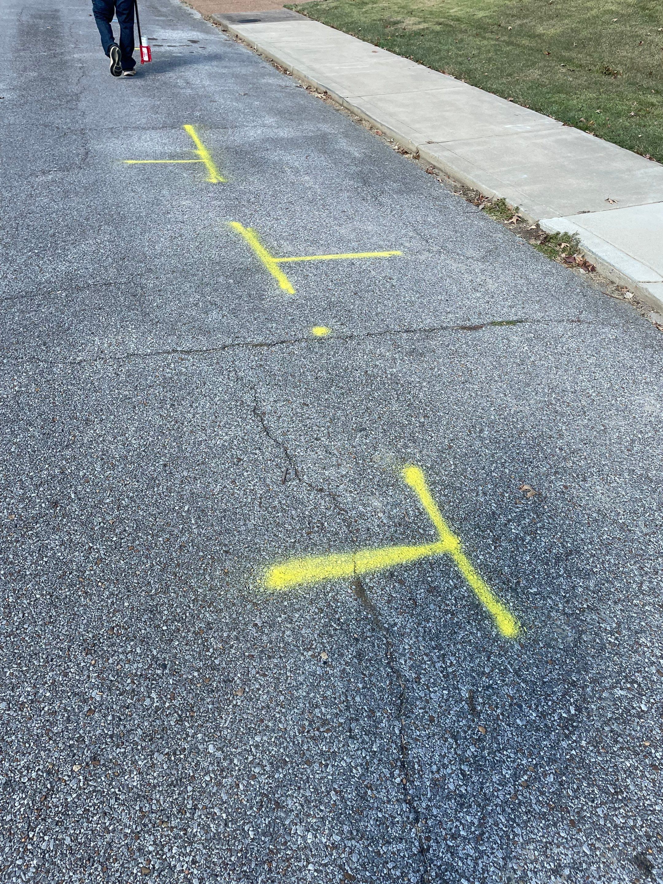 Utility Locate for Survey Purposes by Alsip Locating Service, LLC