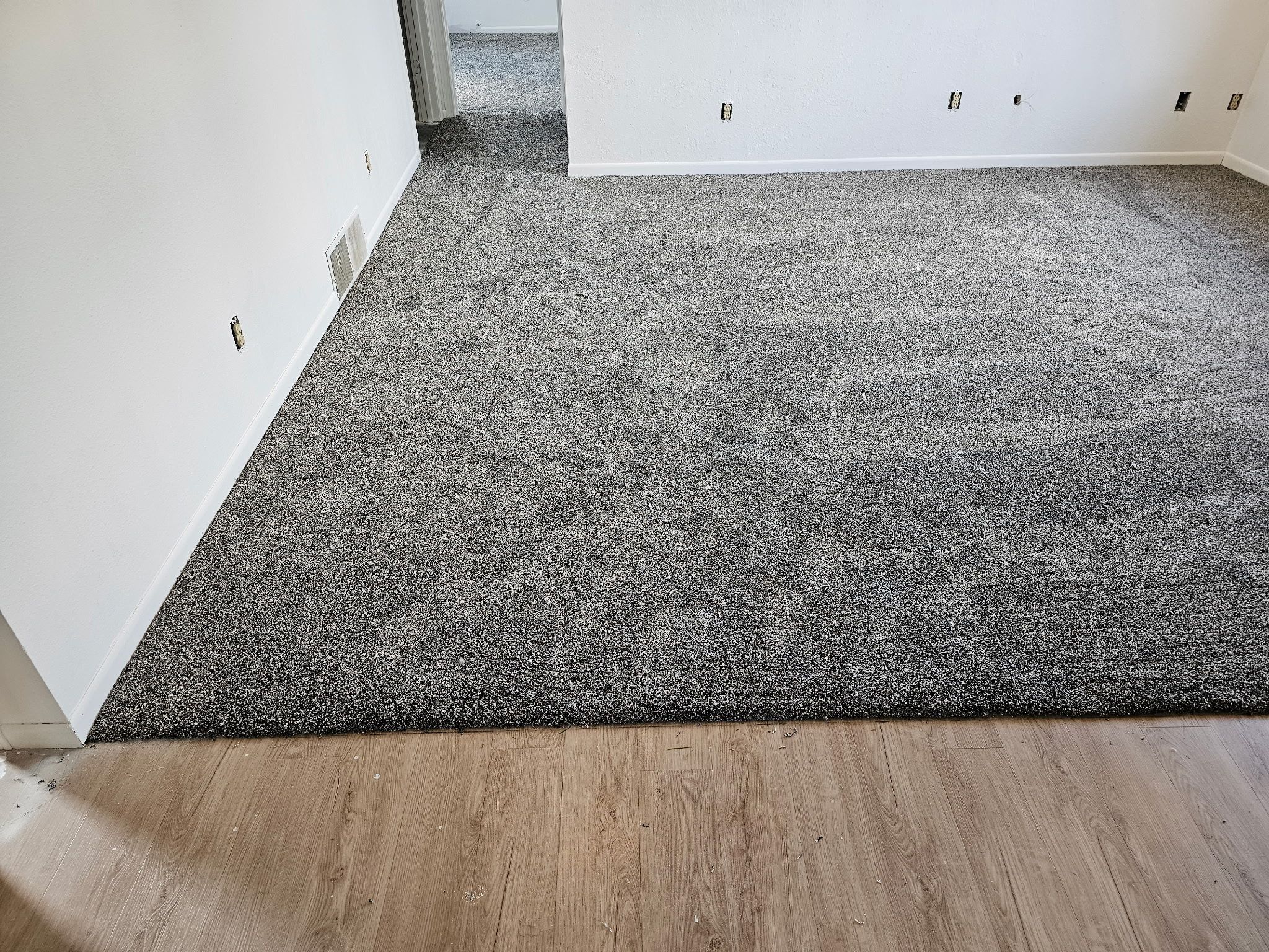 Fresh Carpet, New Comfort in Elwood by Loyal Nine