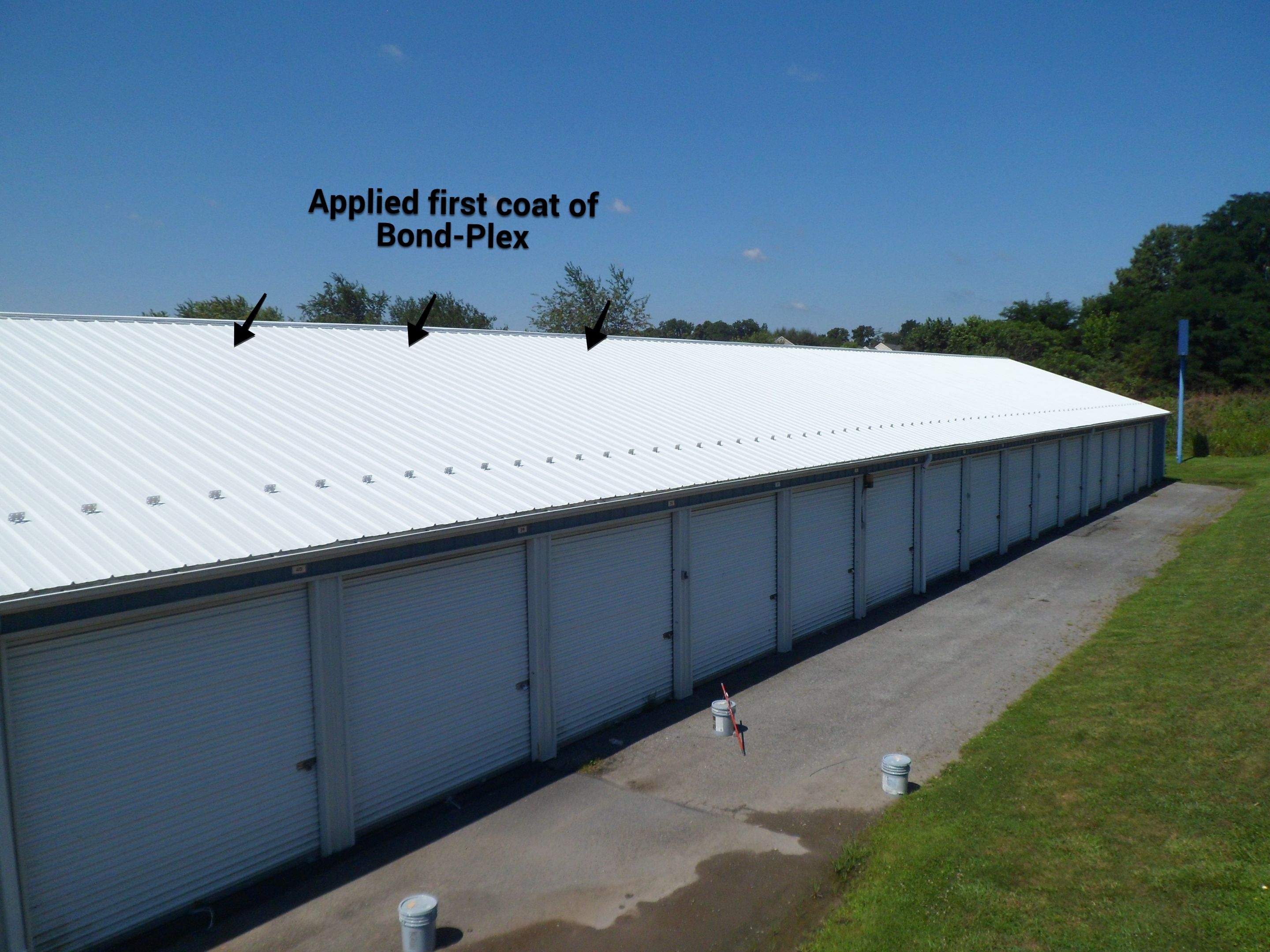 Exterior Painting by Alpha Design Services