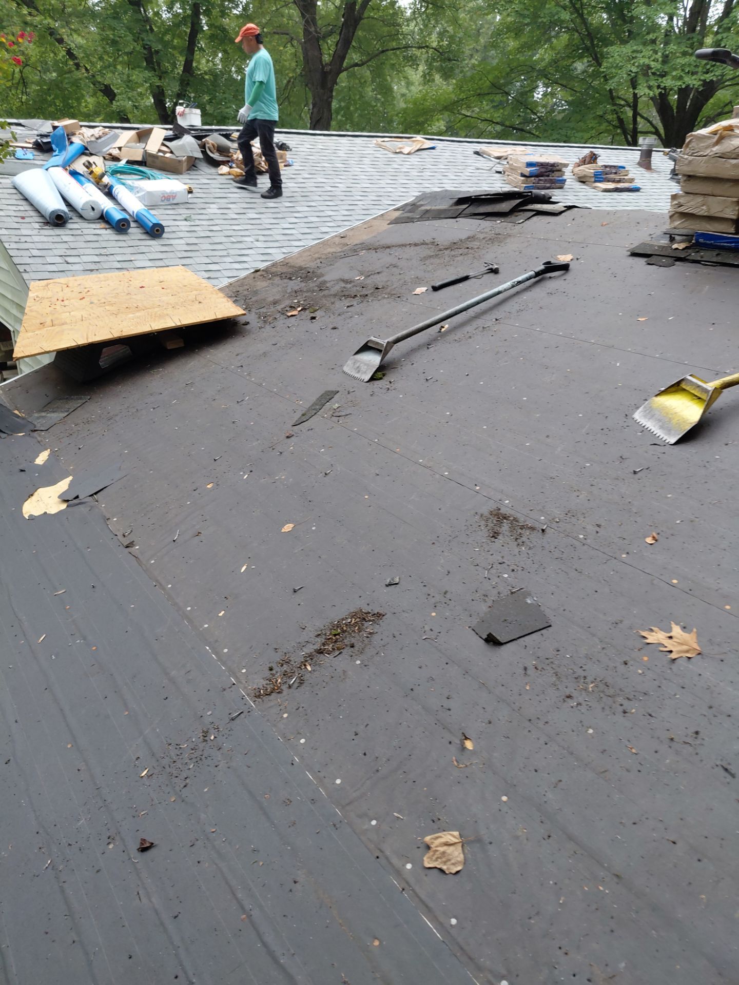 Springfield : with CertainTeed Landmark Pro in Max Def Cobblestone Gray  by RM Banning, Inc.