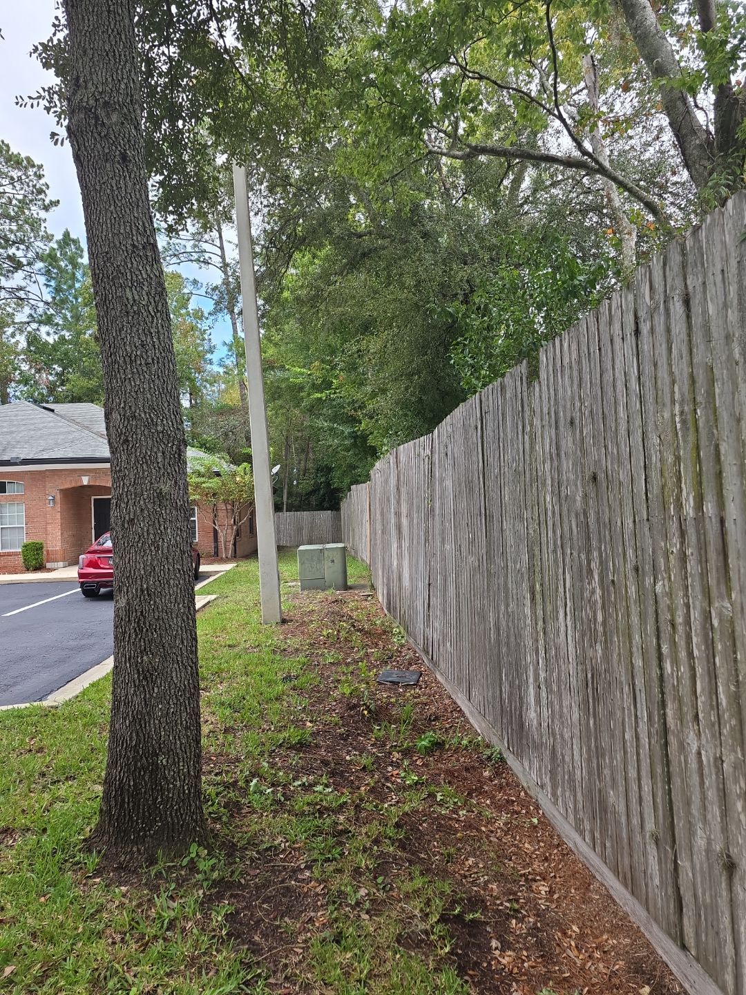 Commercial Property | Tree Removal & Trimming by ProGreen Services