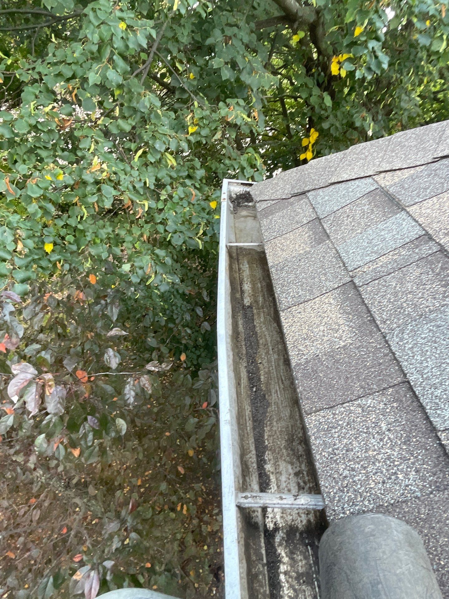 Commercial gutter cleaning Schaumburg & Hoffman Estates, IL	 after photo with clean gutters