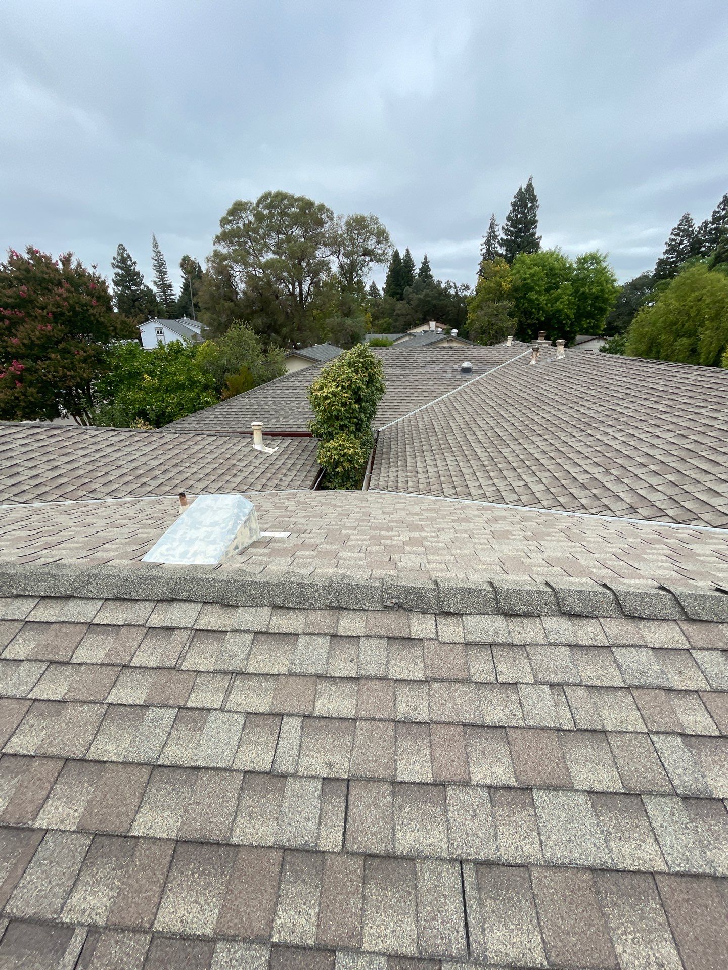 Roof Rejuvenation using Roof Maxx Treatment by Roof Maxx of Folsom