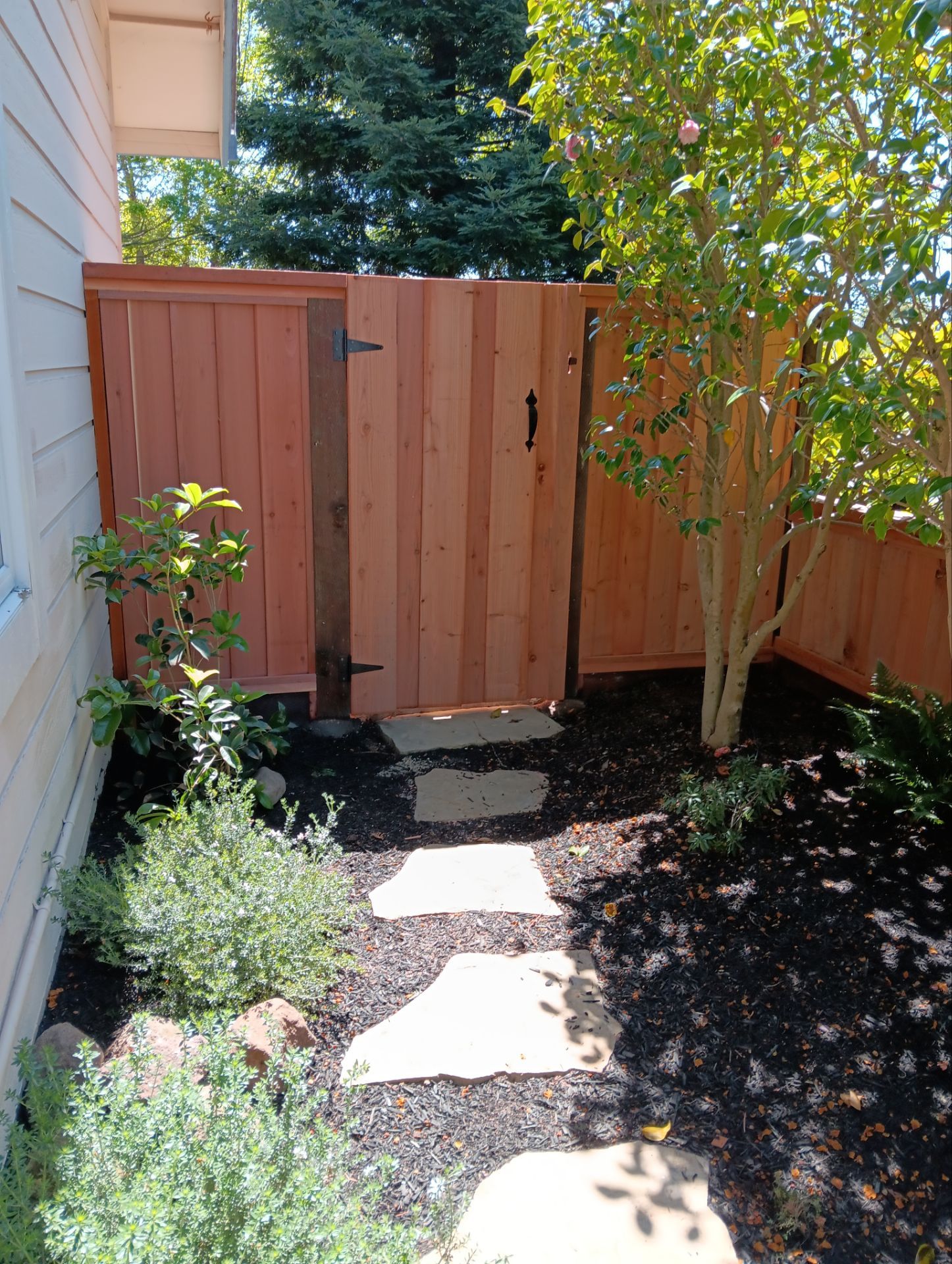 Lap/Louvered Fence with 2x6 Cap by Fremont Fence Inc