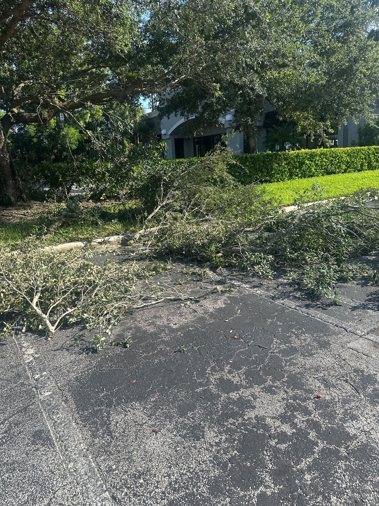 🛏️ City Mattress Refresh — Jensen Beach by Alpha Zeta Enterprises Inc