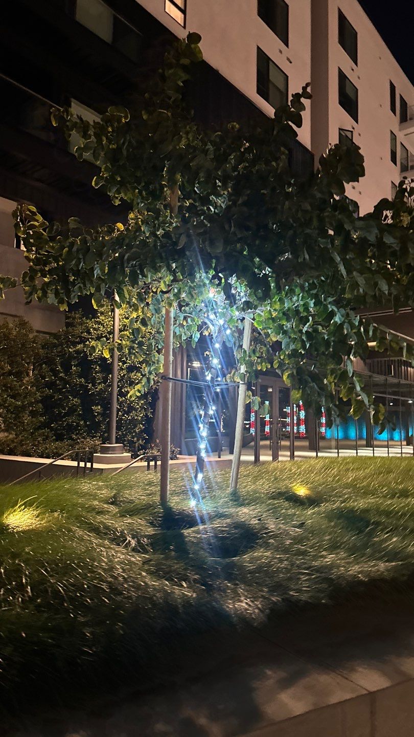Newport HOA Holiday Lighting by Property Cleaning Experts, LLC