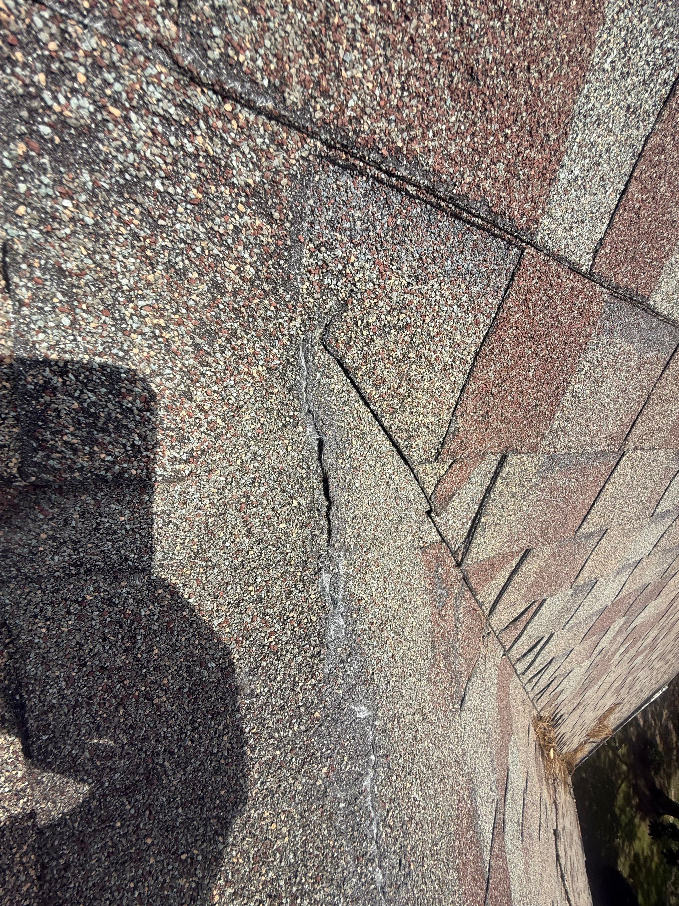 Roof Repair Spring by Roof Repair Company