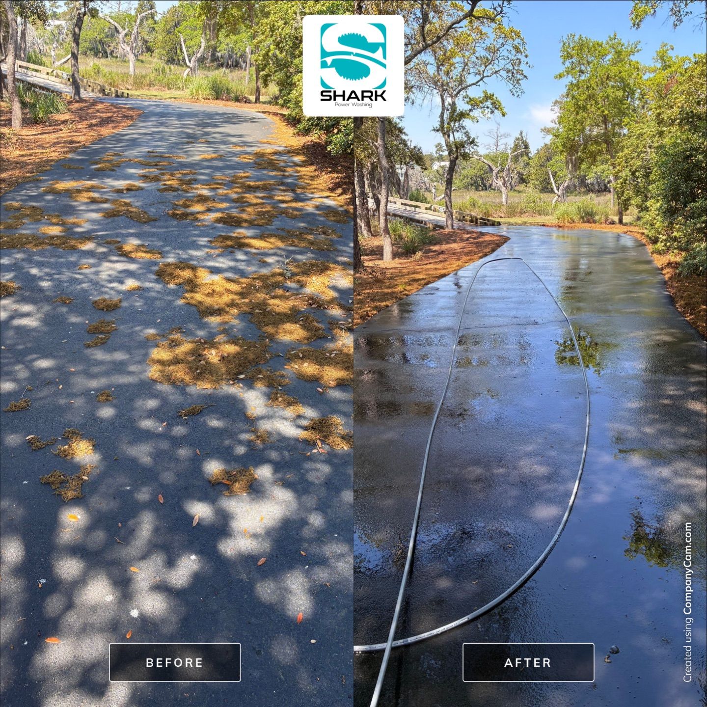 House Washing in Wilmington by Shark Power Washing