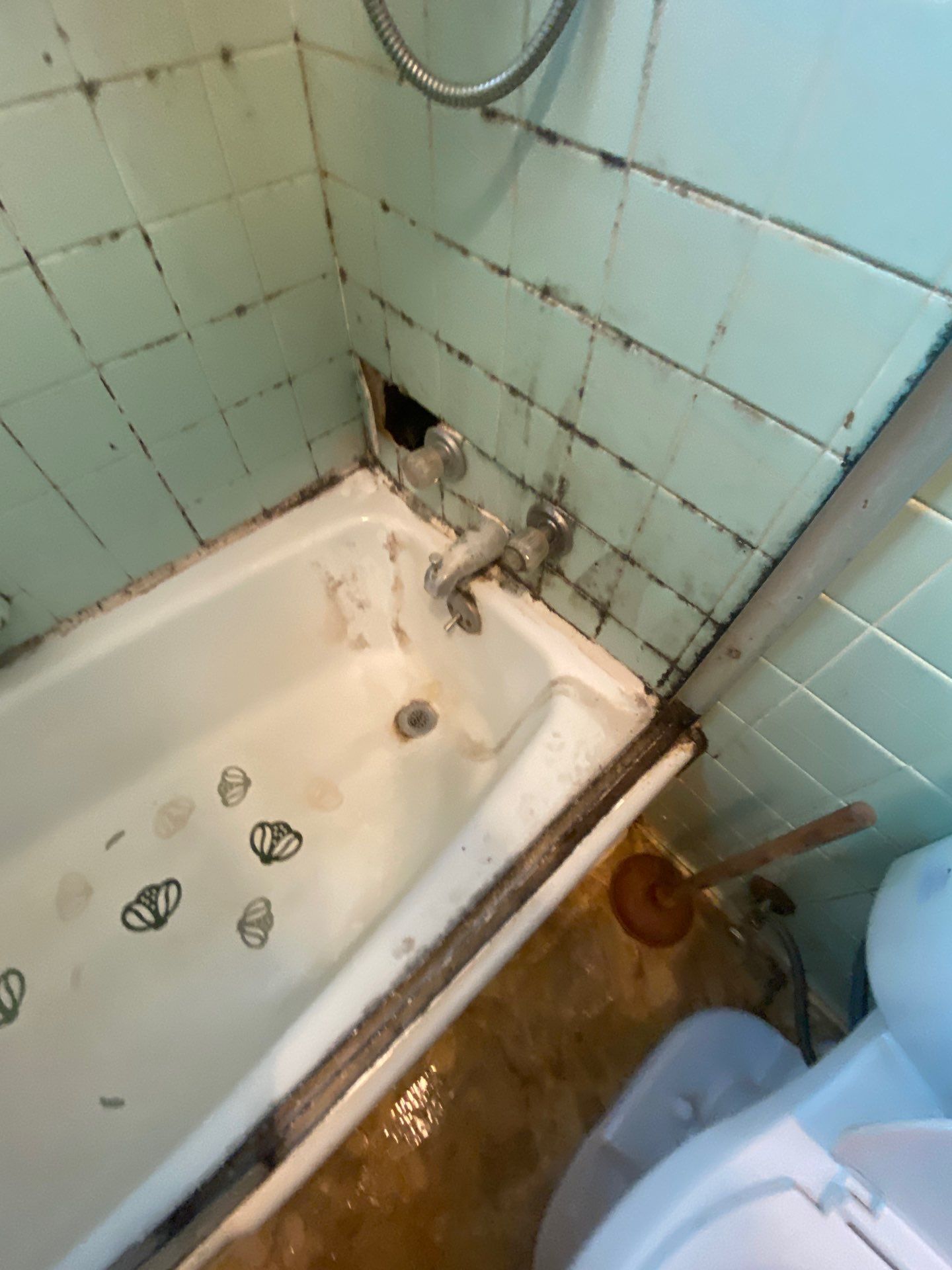 Tub to Shower Conversion using BCI Acrylic Shower System by Secure Construction Company Inc