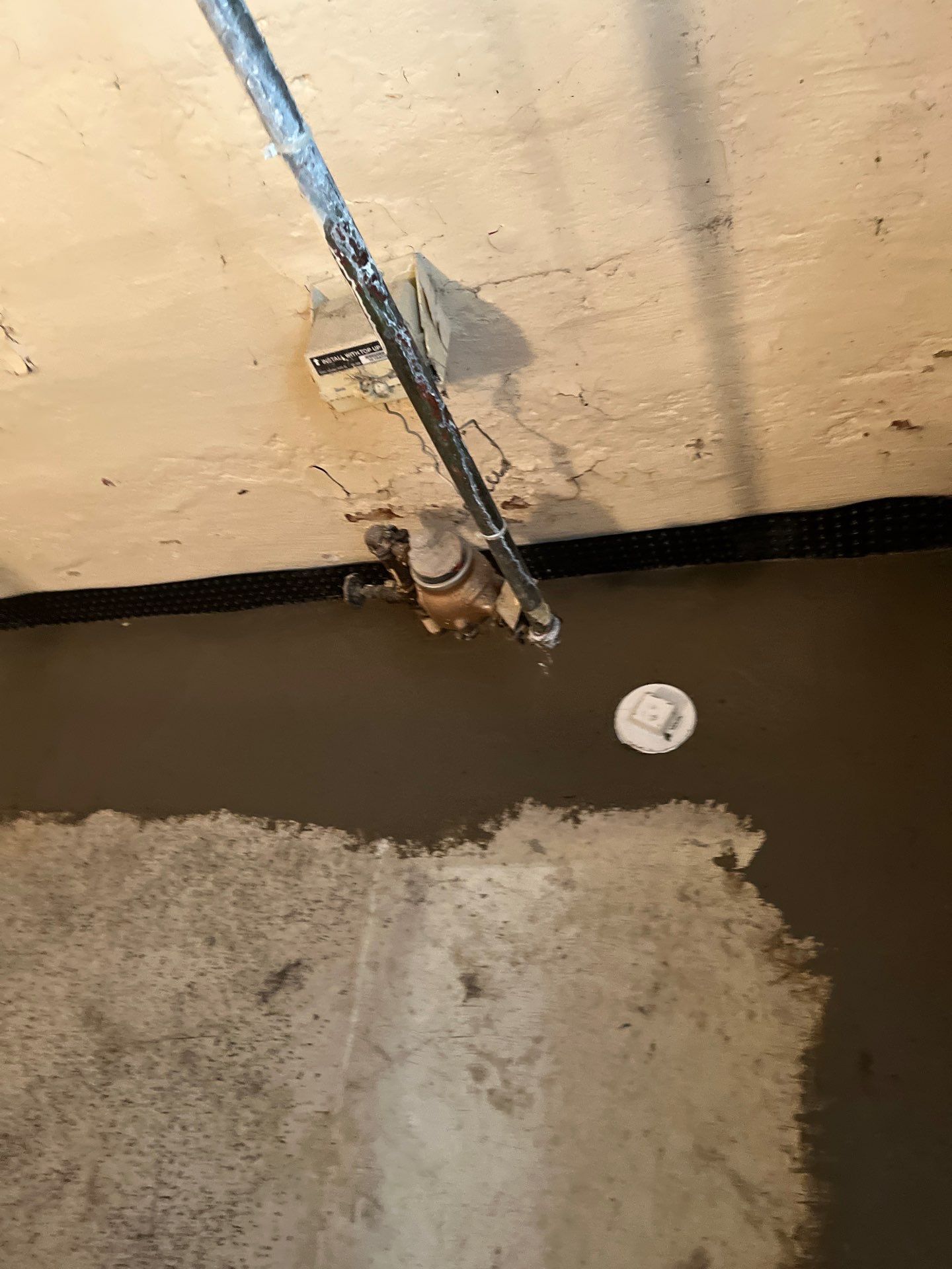 Berwyn- Interior Drain Tile System by Area Wide Waterproofing