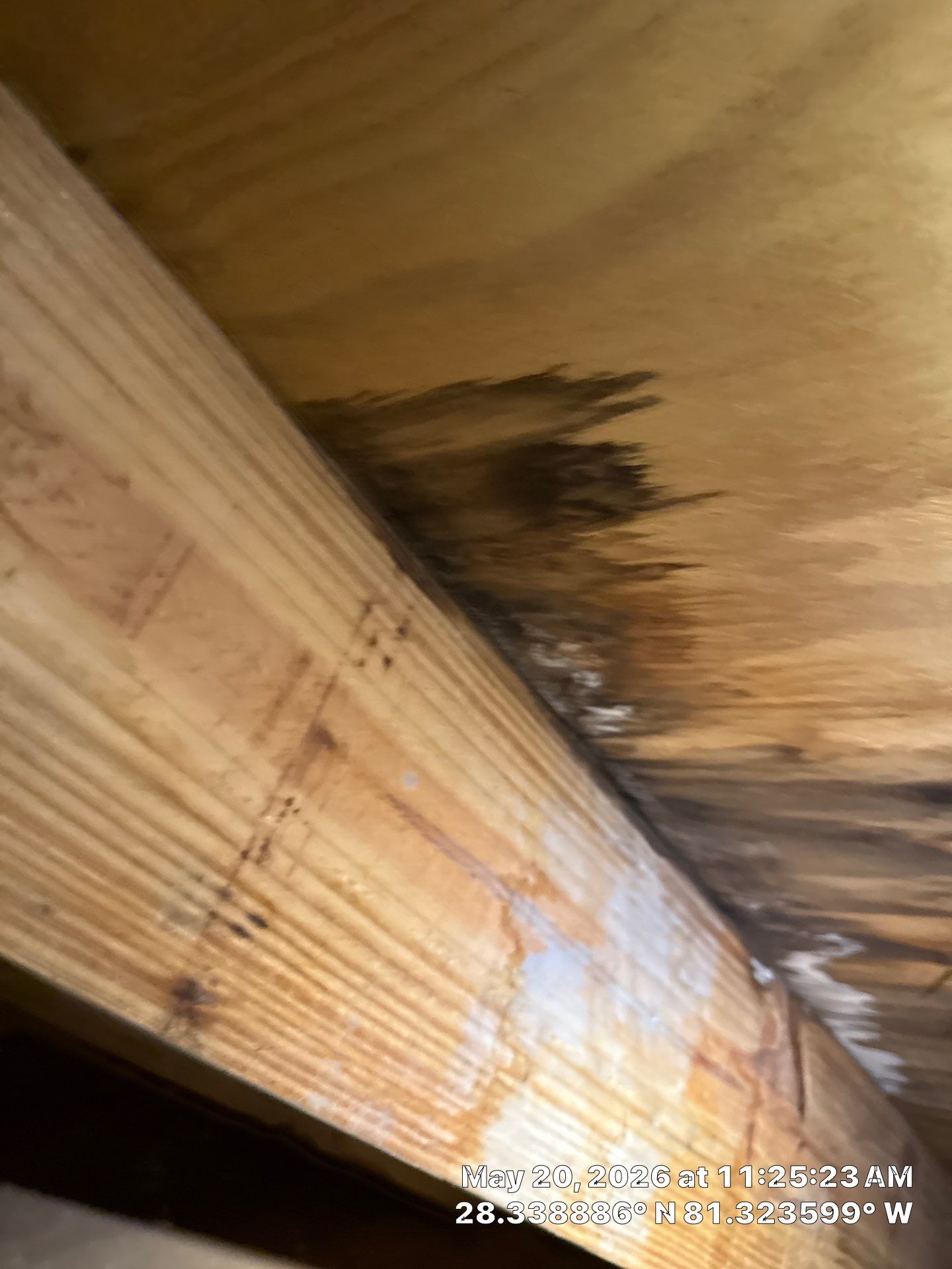 Project in Kissimmee, FL by New Horizons Roofing Inc