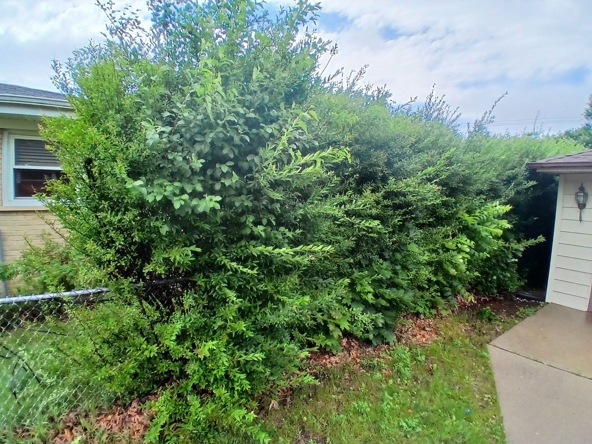 Pamela D. - Mount Prospect, IL by A&N