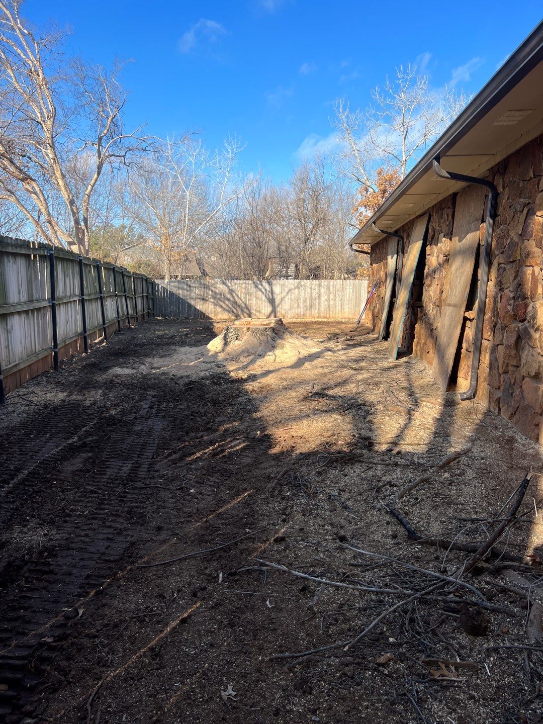 Large Oak Removal by Clays Services Inc