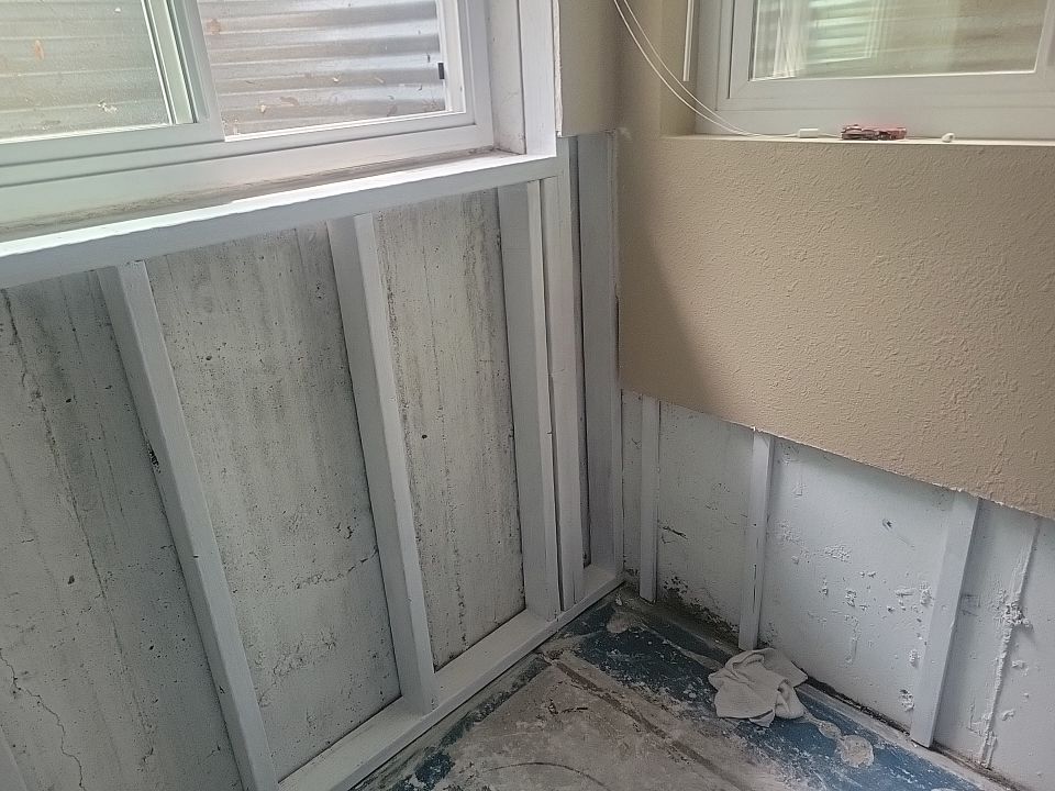 Mold Damage by Accountable Home Services
