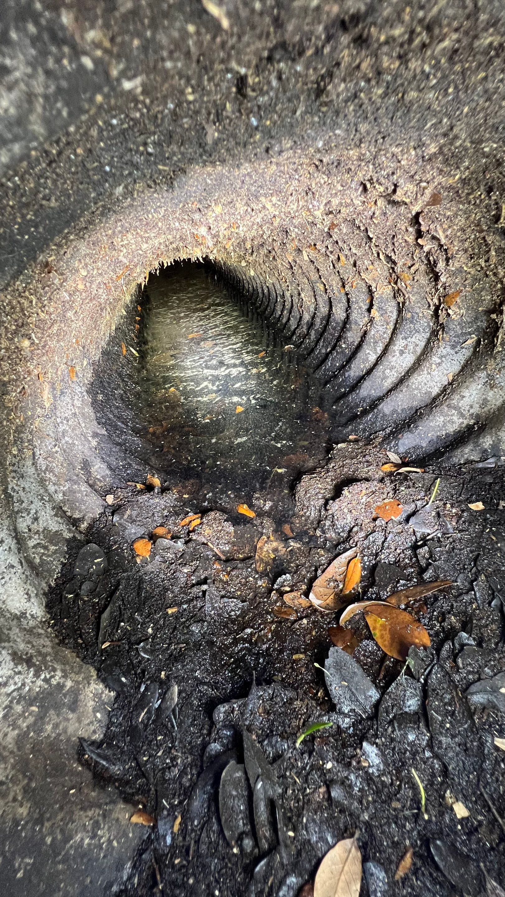 Apartment Complex Storm Water System Cleaning and Maintenance by APS Power & Water