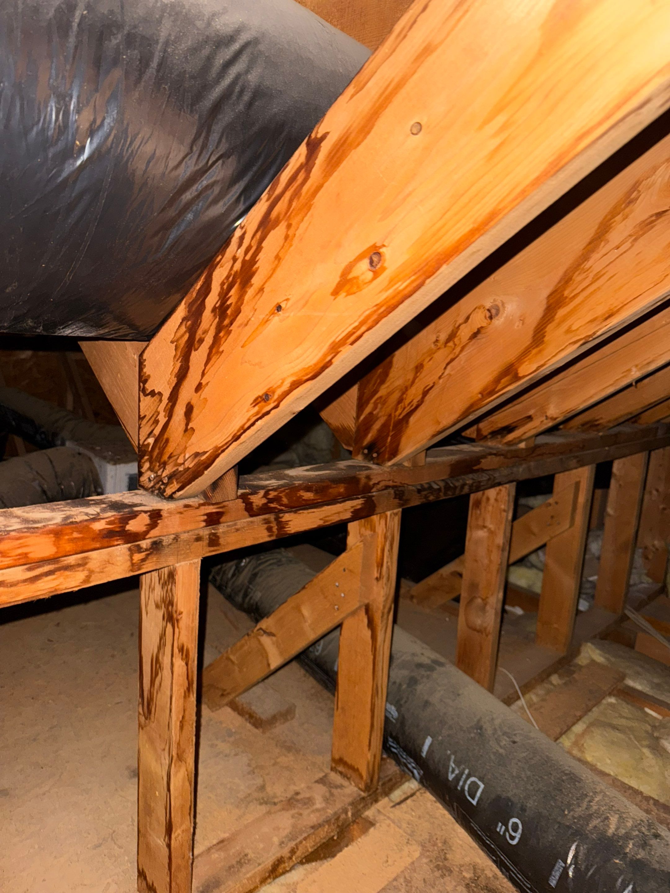 Project in Raleigh - TPO roof replacements  by Pro Performance Roofing